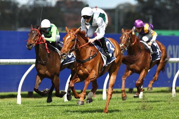 Aethelwulf gets up for a debut win.