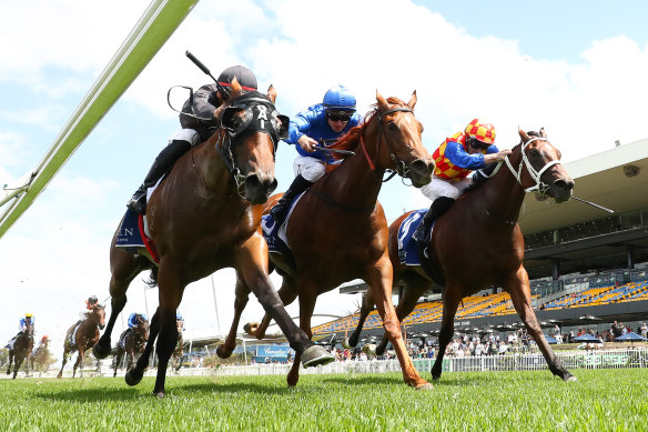 The Playwright, left, holds on to beat Tempted and Snitzel Miss in the Widden Stakes at Randwick on Saturday.