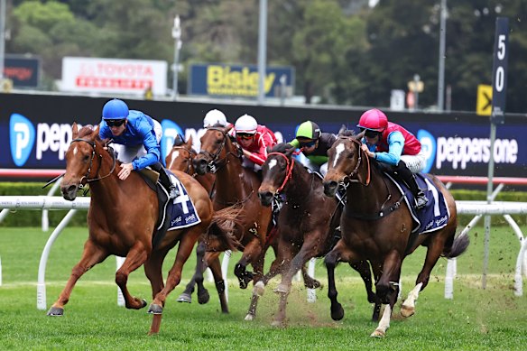 Chad Schofield gives Tempted a pat as they win the Concorde.