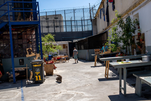 A cat roams a courtyard at Santiago Sur Preventive Detention Centre in Santiago.