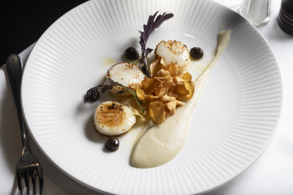 Seared scallops with Jerusalem artichoke puree.