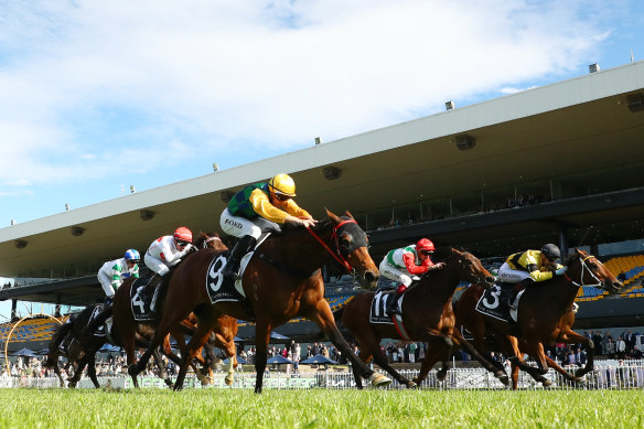 Jay Ford gets Anagain home at Rosehill.