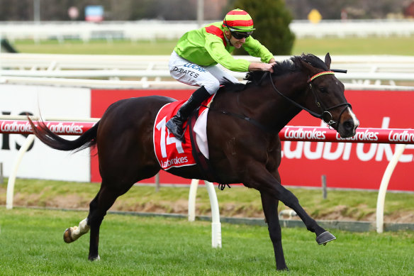 Begood Toya Mother returns to the races for the first time since his Rupert Clarke Stakes win.