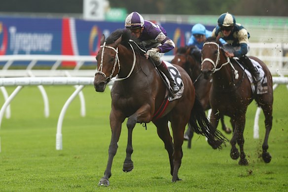 Race-by-race preview and tips for Randwick on Saturday