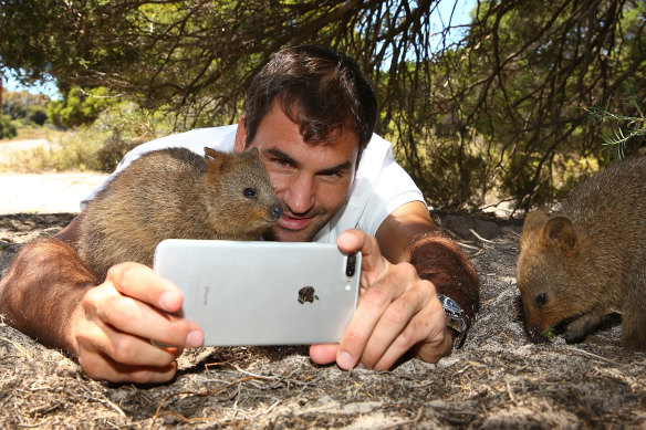 The “quokka selfie” has helped turn the island into one of Australia’s biggest drawcards, including for world-famous stars like Roger Federer.