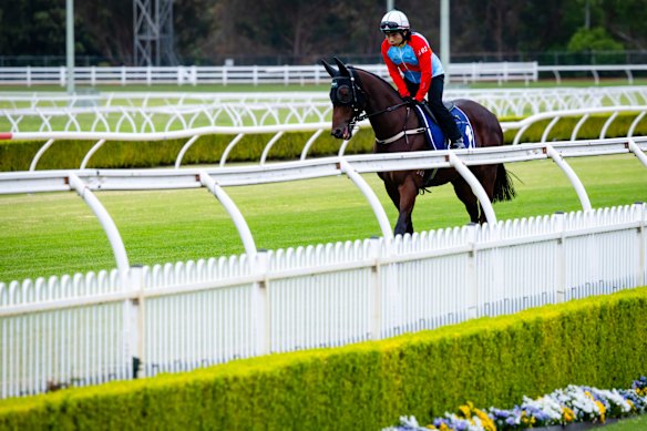 Everest favourite Ka Ying Rising on the track at Canterbury Park on Tuesday morning.