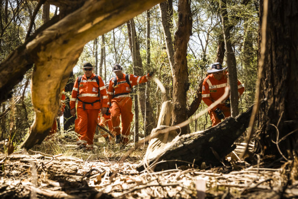 SES crews are seen searching the Canadian Plantation near Mount Clear for missing mother of three, Samantha Murphy.