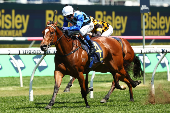 Arctic Glamour explodes away with the Tapp-Craig and is favourite for the Callander-Presnell at Randwick on Saturday.