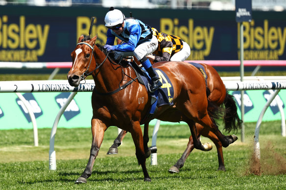 Arctic Glamour is the top pick in the Missile Stkes.