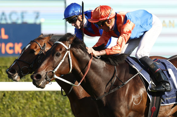 Think It Over takes out the 7 Stakes at Randwick on Saturday.