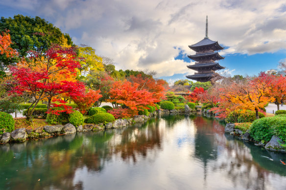 Peaceful perfection … Toji Pagoda, Kyoto, Japan.