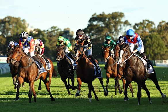 Portland, left, wins the Lord Mayors Cup at Rosehill on Saturday.