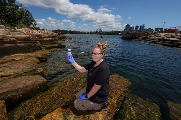 PhD candidate Katherine Warwick testing the water at Barangaroo on behalf of the Herald.
