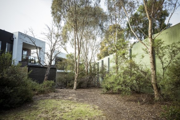 The freeway sound wall at the back of the property.