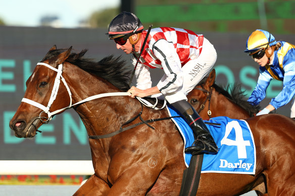 Nash Rawiller gets Waterford home at Rosehill.