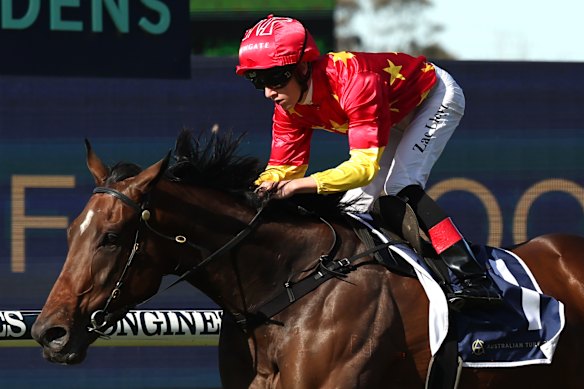 Race-by-race preview and tips for Randwick on Saturday
