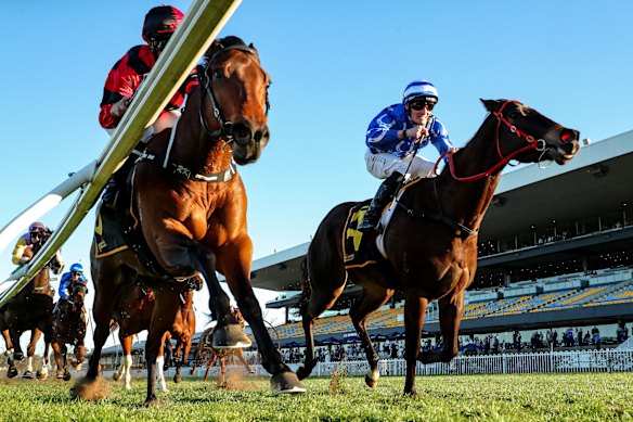 Dragonstone (right) has a wide gate, but that may play in his favour if the Hawkesbury track is really wet.