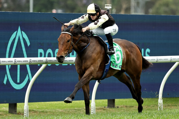 Villasaurus romps home on Golden Eagle day and looks a rising talent. 
