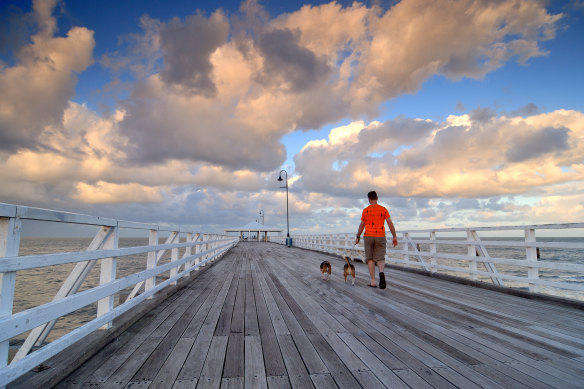 A man walks his dogs on the Shorncliffe Pier, one of Greater Brisbane’s most tightly held suburbs.