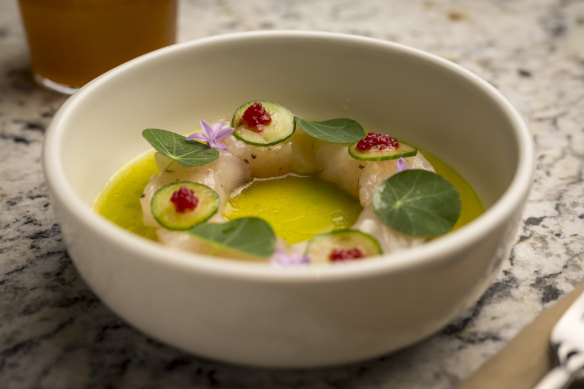An elegant ring of blue-eye ceviche.