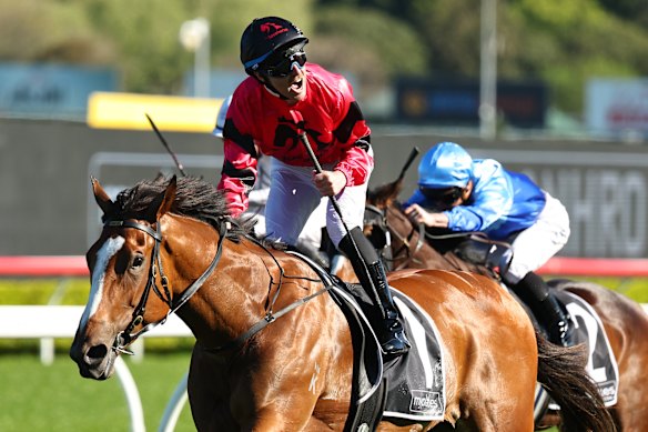 Race-by-race preview and tips for Saturday’s meeting at Randwick
