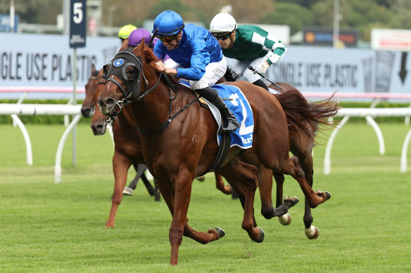 Nash Rawiller guides Tentyris to victory in the Todman Stakes last year. He rides again for trainers Anthony and Sam Freedman in the race on Saturday with Wolf Gap. 