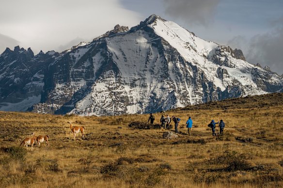 Wildlife and walkers, Tierra Patagonia.