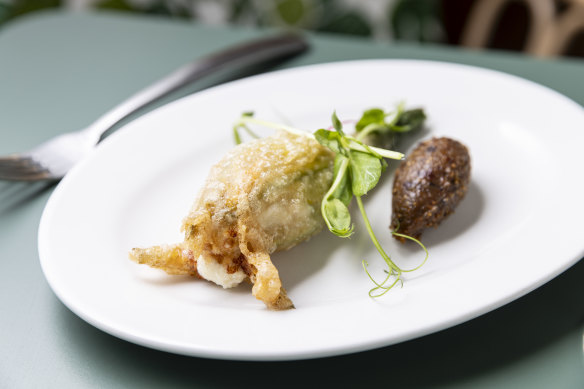 Fried zucchini flower.