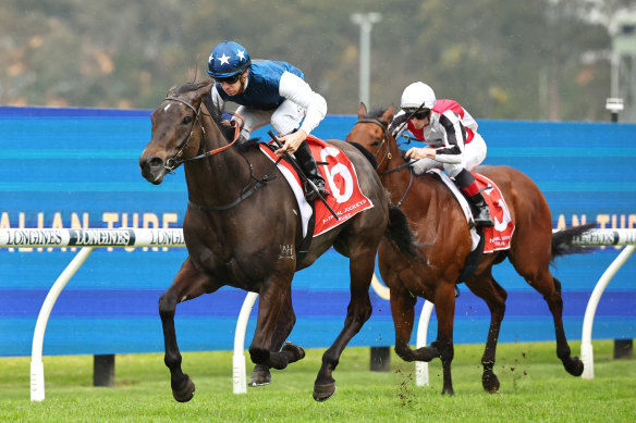 Wategos  starts a winter preparation at Rosehill on Saturday that could lead to Brisbane.