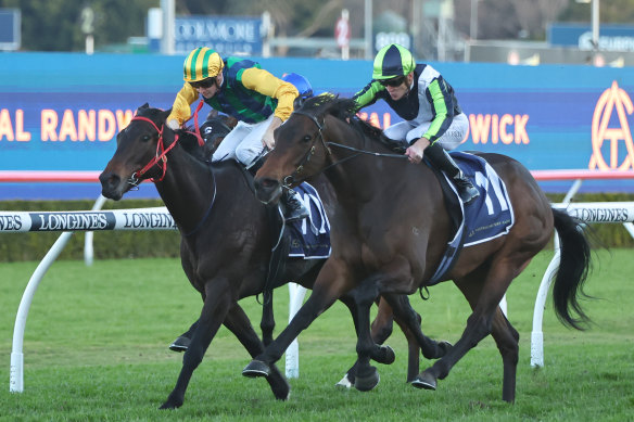 King Of The Castle (inside) is the top selection for the cup.