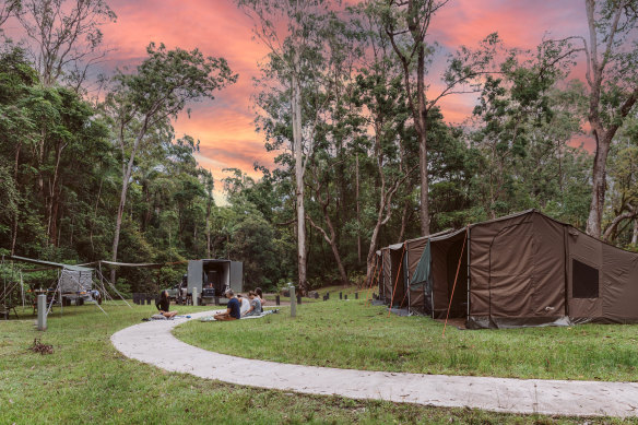 The bush camp at Bower in Border Ranges National Park, NSW.