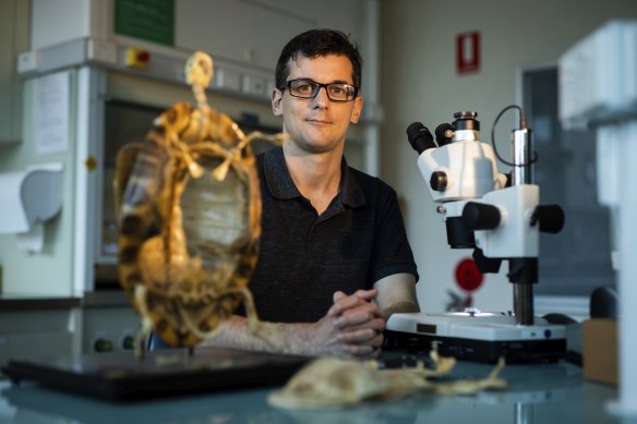 Dr James Rule with a 3D print of a pig-nosed turtle fossil.