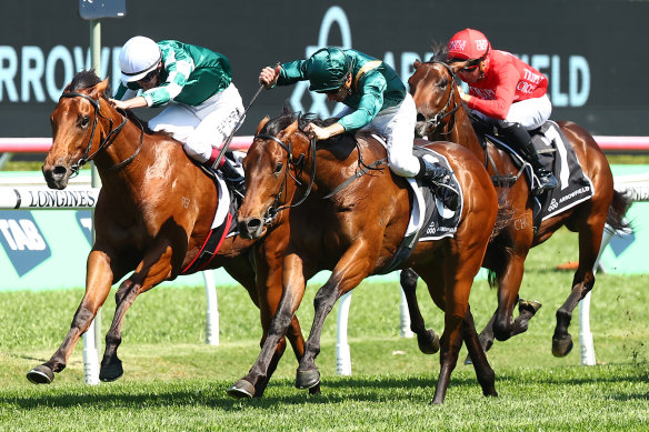 Espionage gets over the top of Straight Charge in the Breeders’ Plate ast Randwick in September.