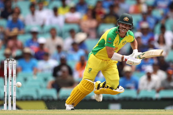 David Warner will play for Southern Brave in the Hundred