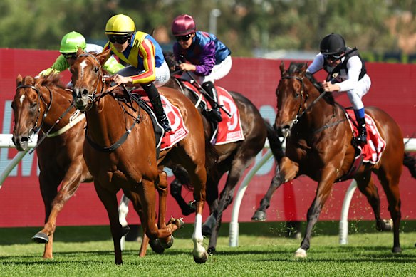 Zac Lloyd boots home Flying For Fun.