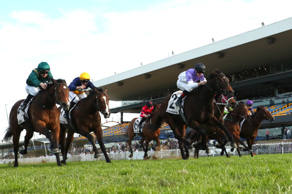 Tiz Invincible (black cap) hits the front in The Rosebud at Rosehill yesterday.