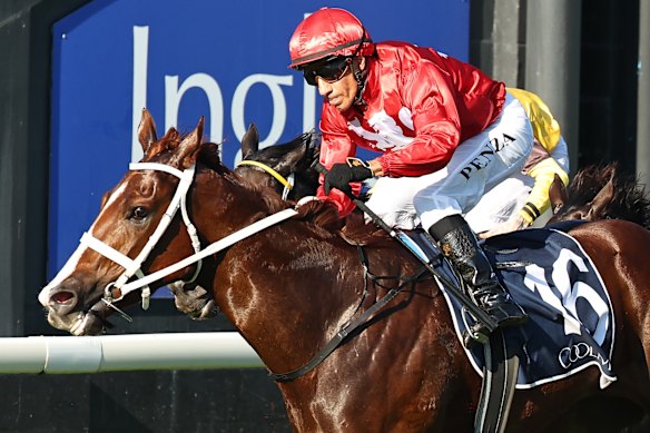 Jeff Penza rides Summer Flame to victory in the Denise’s Joy Stakes at Scone on May 17.