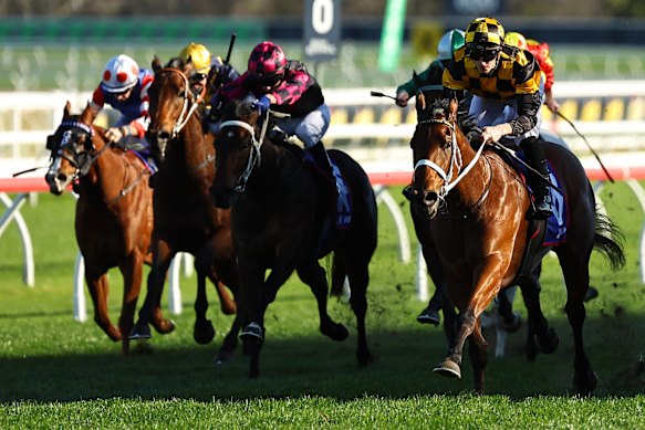 Race-by-race previews and tips for Saturday’s Randwick meeting