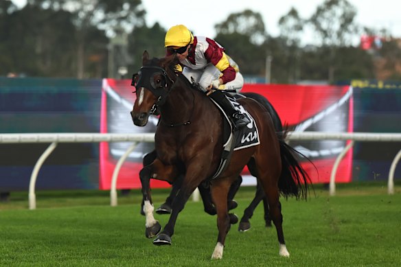 Andrew Adkins wins on Touristic at Rosehill last Saturday.