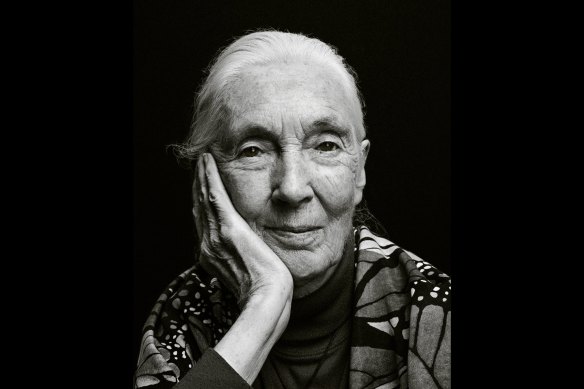 Dr Jane Goodall: ” Even though I knew Tarzan wasn’t real, I still felt jealous because I thought he married the wrong Jane!”