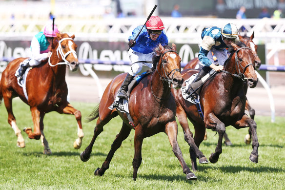 Last year's Melbourne Cup winner Cross Counter, ridden by Kerrin McEvoy.