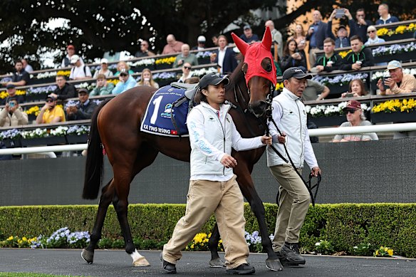 Ka Ying Rising parades pre-trial.