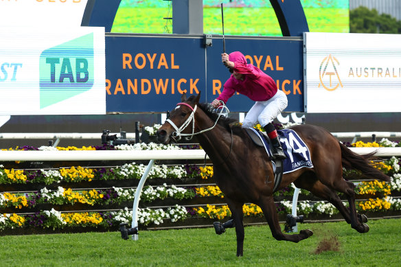 James McDonald salutes as Fangirl wins the King Charles Stakes in the spring. 