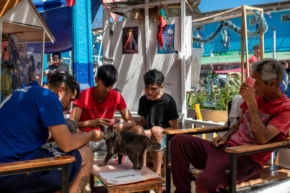 A cat joins a card game with inmates in a low-security section of the prison.