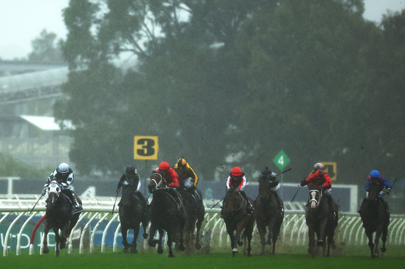 Emirate (second from left) revels in the going at a gloomy Rosehill on Saturday.