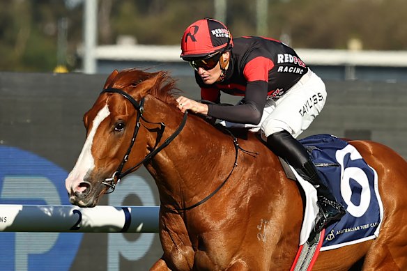 Regan Bayliss pilots Plagiarism to victory  at Rosehill.