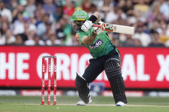 Showtime: Glenn Maxwell.