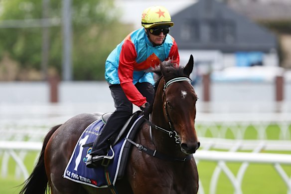 Everest favourite Ka Ying Rising.