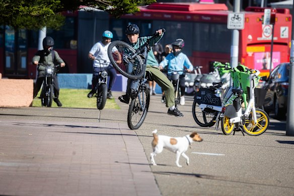 An e-bike rider ‘pops a wheelie’.