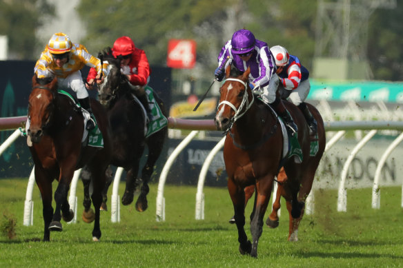 Congregation sweeps to victory at Rosehill on Saturday.